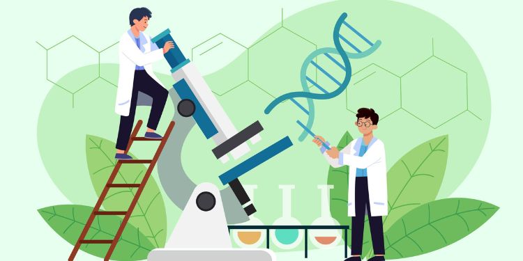 Article: The Impact of EDTA And Selenite on The Stability of Insulin in Cell Culture Media 