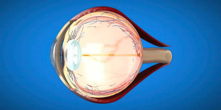 Article: Glaucoma Literacy in a Portuguese Population